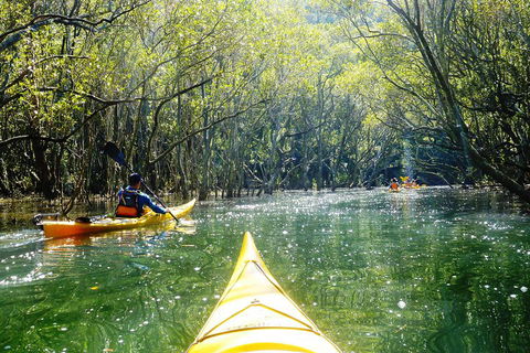 Self-Guided Sydney Middle Harbour Kayak 3 Hour Tour By Double Kayak - Accommodation Great Ocean Road 3
