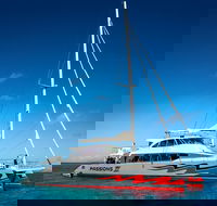 Passions of Paradise Great Barrier Reef Snorkel and Dive Cruise from Cairns by Luxury Catamaran - Accommodation Great Ocean Road