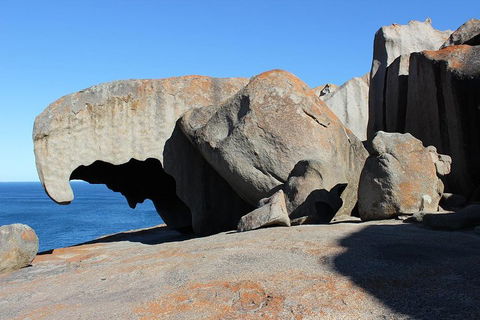 Kangaroo Island Personal Group Tours - Accommodation Great Ocean Road 2