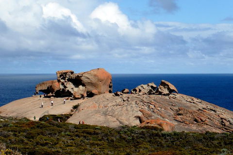 Kangaroo Island Personal Group Tours - Accommodation Great Ocean Road 5