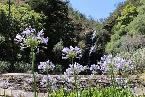 Self-Guided Waterfall Gully To Mount Lofty Hike From Adelaide - Accommodation Great Ocean Road 3