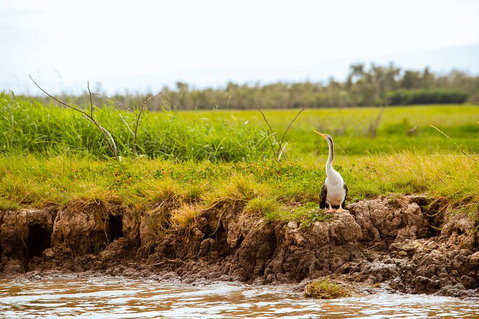 Darwin City Sights And Jumping Crocodile Cruise - Accommodation Great Ocean Road 2