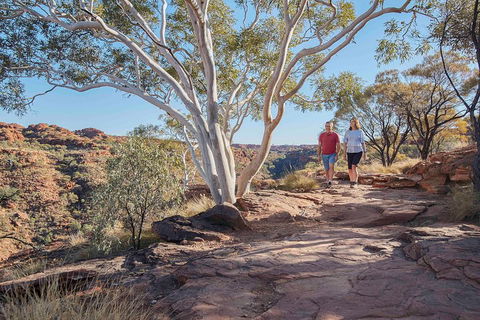 3-Day Tour From Uluru (Ayers Rock) To Alice Springs Via Kings Canyon - Accommodation Great Ocean Road 1