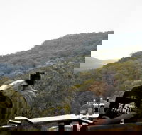 Taste of the Blue Mountains - Lunch  Wine tasting Beer Cider  Gin Tasting - Accommodation Great Ocean Road