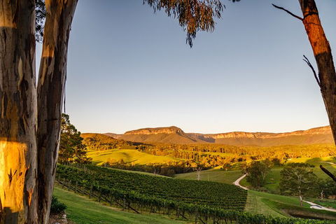 Taste Of The Blue Mountains - Lunch & Wine Tasting, Beer, Cider & Gin Tasting - Accommodation Great Ocean Road 1