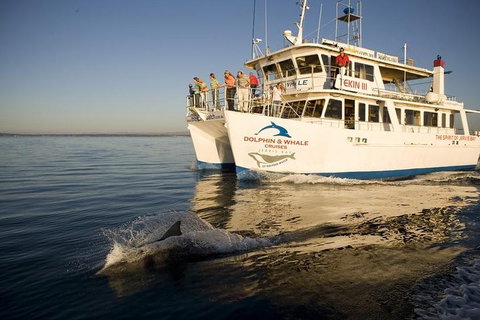 Jervis Bay Dolphin Watch Cruise - Accommodation Great Ocean Road 3