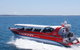 Whale Watching Jervis Bay - thumb 1