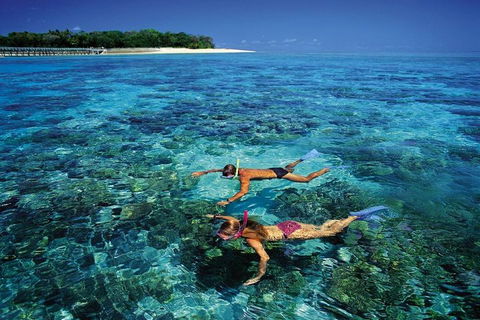 Green Island Day Trip From Cairns - Accommodation Great Ocean Road 5