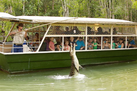 Hartley's Crocodile Adventure Half-Day Tour - Accommodation Great Ocean Road 0