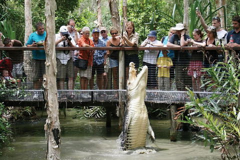 Hartley's Crocodile Adventure Half-Day Tour - Accommodation Great Ocean Road 1