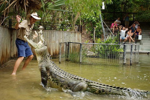 Hartley's Crocodile Adventure Half-Day Tour - Accommodation Great Ocean Road 2