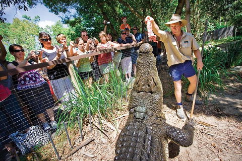 Hartley's Crocodile Adventure Half-Day Tour - Accommodation Great Ocean Road 4