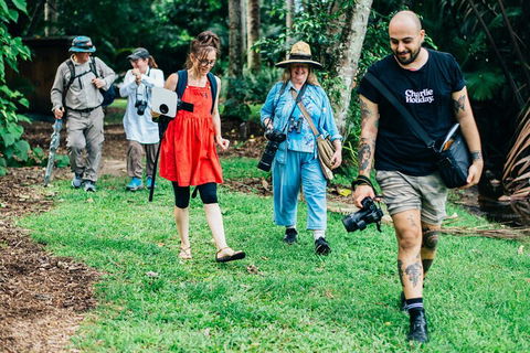 Let's Go Buggin & Let's Go Shroomin - Photography & Nature Walking Tours - Accommodation Great Ocean Road 0