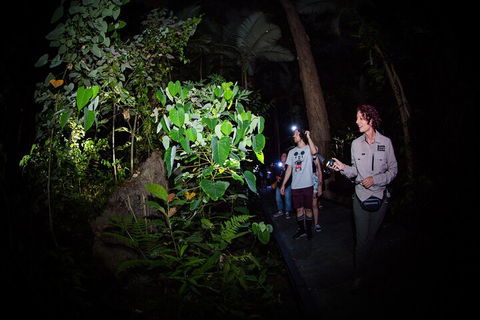 Let's Go Buggin & Let's Go Shroomin - Photography & Nature Walking Tours - Accommodation Great Ocean Road 4