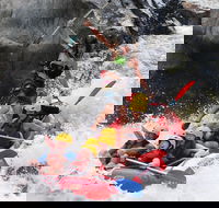 Barron Gorge National Park Half-Day White Water Rafting from Cairns or Port Douglas - Accommodation Great Ocean Road
