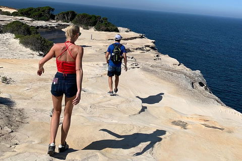 See Sydney With A Local: Private & Personalized - Accommodation Great Ocean Road 0