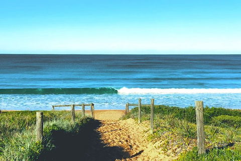 Sydney's Northern Beaches & Ku-ring-gai National Park Small Tour Departing Manly - Accommodation Great Ocean Road 1