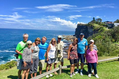Shore Excursion: Sydney's Northern Beaches & Ku-ring-gai National Park Bus Tour - Accommodation Great Ocean Road 0
