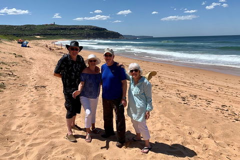 Shore Excursion: Sydney's Northern Beaches & Ku-ring-gai National Park Bus Tour - Accommodation Great Ocean Road 3