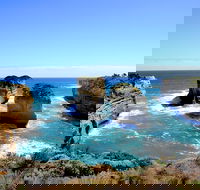 Great Ocean Road Small-Group Ecotour from Melbourne - Accommodation Great Ocean Road