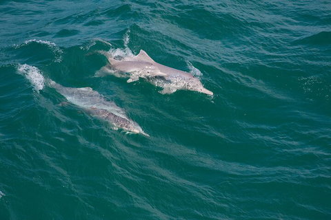 North Stradbroke Island Private Tour With Pickup - Accommodation Great Ocean Road 0