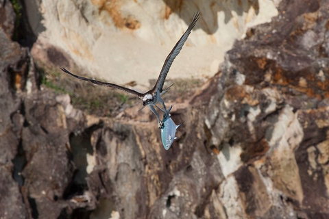 North Stradbroke Island Private Tour With Pickup - Accommodation Great Ocean Road 2