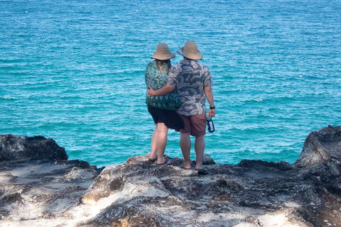 North Stradbroke Island Private Tour With Pickup - Accommodation Great Ocean Road 4