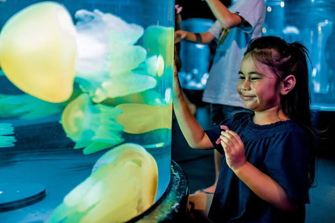 SEA LIFE Sydney Aquarium Entrance Ticket - Accommodation Great Ocean Road 5
