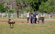 Yura Udnyu - Our Culture, Your Culture (Aboriginal Cultural Walk) - thumb 1