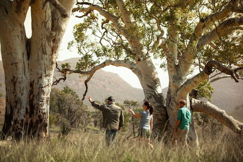 Yura Udnyu - Our Culture, Your Culture (Aboriginal Cultural Walk) - Accommodation Great Ocean Road 5