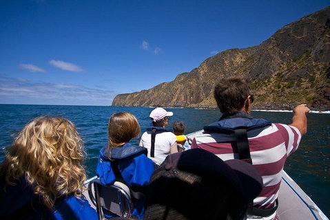 Seal Island Boat Tour From Victor Harbor - Accommodation Great Ocean Road 0