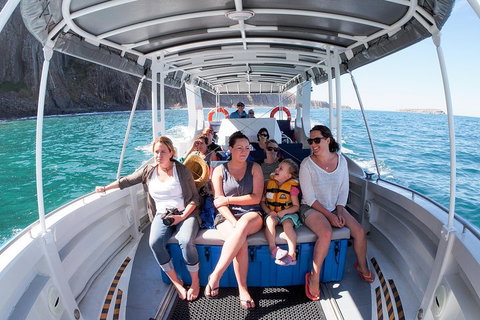 Seal Island Boat Tour From Victor Harbor - Accommodation Great Ocean Road 1