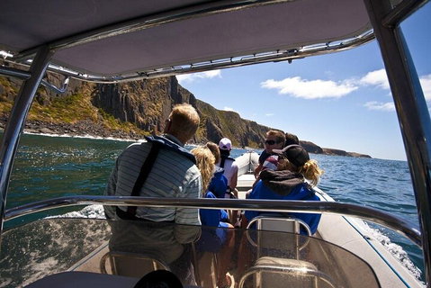 Seal Island Boat Tour From Victor Harbor - Accommodation Great Ocean Road 2
