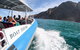 Southern Ocean Adventure From Victor Harbor - thumb 0