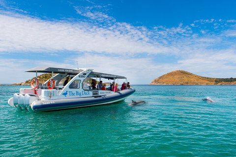 Southern Ocean Adventure From Victor Harbor - Accommodation Great Ocean Road 1