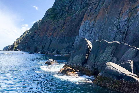 Southern Ocean Adventure From Victor Harbor - Accommodation Great Ocean Road 3
