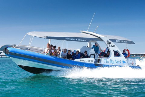 Southern Ocean Adventure From Victor Harbor - Accommodation Great Ocean Road 5