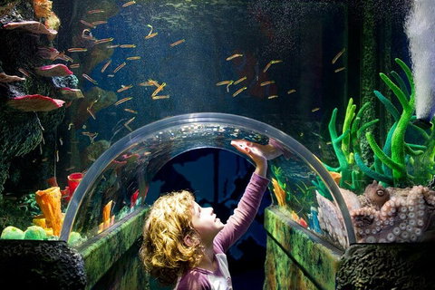 Melbourne BIG Ticket - LEGOLAND Discovery And SEA LIFE Melbourne - Accommodation Great Ocean Road 2