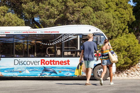 Discover Rottnest With Ferry & Bus Tour From Perth Or Fremantle - Accommodation Great Ocean Road 1