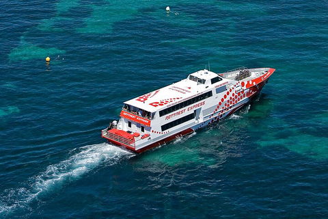Discover Rottnest With Ferry & Bus Tour From Perth Or Fremantle - Accommodation Great Ocean Road 3