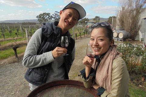 Swan Valley River Cruise And Wine Tasting Day Trip From Perth - Accommodation Great Ocean Road 0