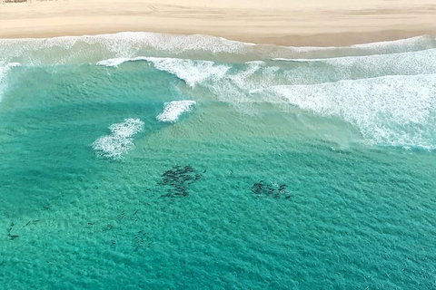 Coastal Helicopter Shared Flight - 20 Minutes - Accommodation Great Ocean Road 4