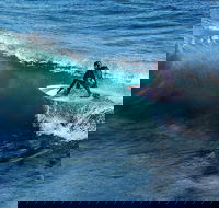 Great Ocean Road Highlights Tour - 2 Days 1 Night - Accommodation Great Ocean Road