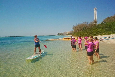 Golden Beach 1-Hour Stand-Up Paddleboard Hire On The Sunshine Coast - Accommodation Great Ocean Road 1