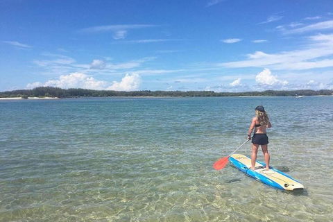 Golden Beach 1-Hour Stand-Up Paddleboard Hire On The Sunshine Coast - Accommodation Great Ocean Road 4