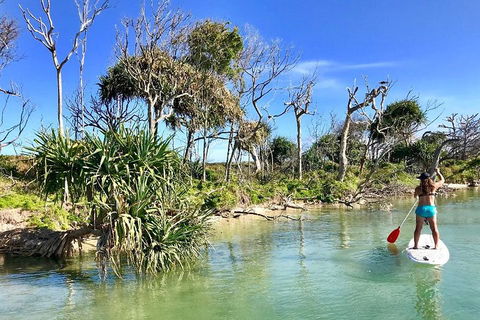 Golden Beach 1-Hour Stand-Up Paddleboard Hire On The Sunshine Coast - Accommodation Great Ocean Road 5