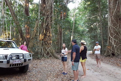 Great Beach Drive 4WD Tour - Private Charter From Noosa To Rainbow Beach - Accommodation Great Ocean Road 1